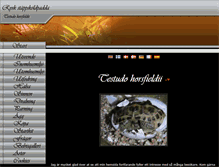 Tablet Screenshot of horsfieldii.com